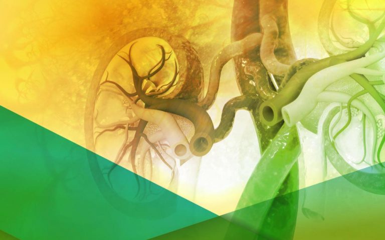 LES e vasculiti: l’interessamento renale in corso di malattie reumatiche